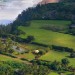 Dali Hale Aerial (2)