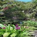 Garden Area