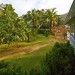 Guest_7371 Guest_7371