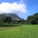 IMG_1045