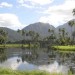 Koloko_H20PondView3 Koloko_H20PondView3