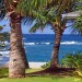 Turtle_cove_ocean_view Turtle_cove_ocean_view