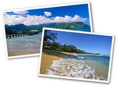 Beach Explorer Package