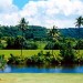kk_fishpond