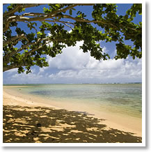 Anini Beach Vacation Rentals