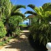 pathview