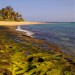thumb_image13
