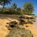 thumb_image21