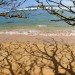 thumb_image22