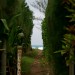 thumb_image23
