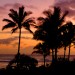 thumb_image25