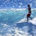 Kauai Art
