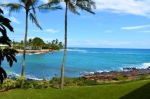 KS201viewcoconut_trees