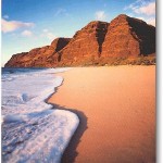 polihale1