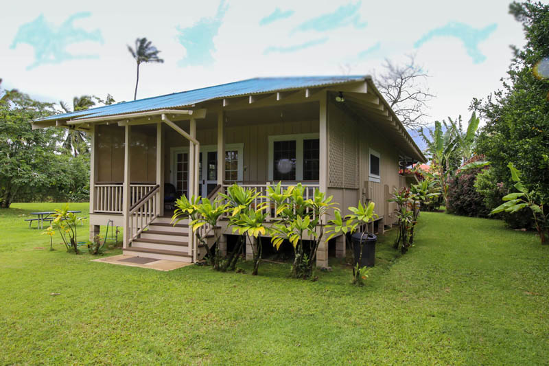 Hanalei Jean And Abbott Properties
