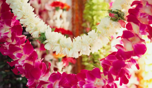 Hawaiian Flower Lei