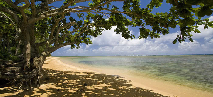Anini Beach Jean And Abbott Properties This Was Our First Time Venturing From The Traditional Hotel Stay Into A Kauai Vacation Al And By Far Best Place We Ve Ever Stayed